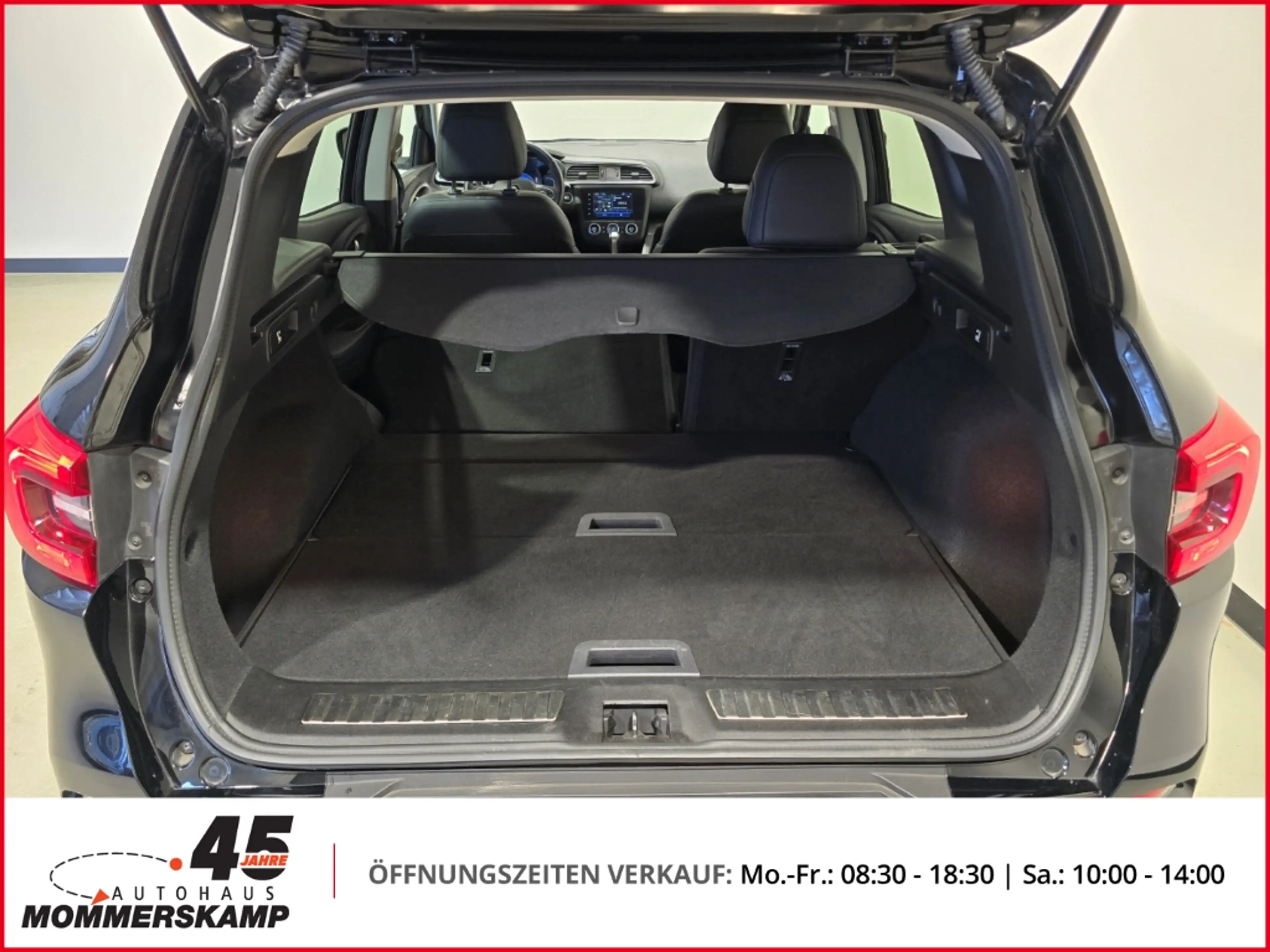 Renault Kadjar Limited Allwetter+Einparkhilfe v&h+SitzHZG+Lederle — photo 13