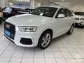 Audi Q3 Q3 2.0 tdi Business 120cv Bianco - thumbnail 2