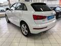 Audi Q3 Q3 2.0 tdi Business 120cv Bianco - thumbnail 3
