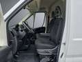 Fiat Ducato 35 L3H2 Multijet (103 kW) Blanco - thumbnail 7