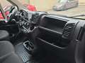 Fiat Ducato 35 L3H2 Multijet (103 kW) Blanco - thumbnail 11