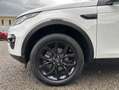 Land Rover Discovery Sport HSE Black Weiß - thumbnail 9