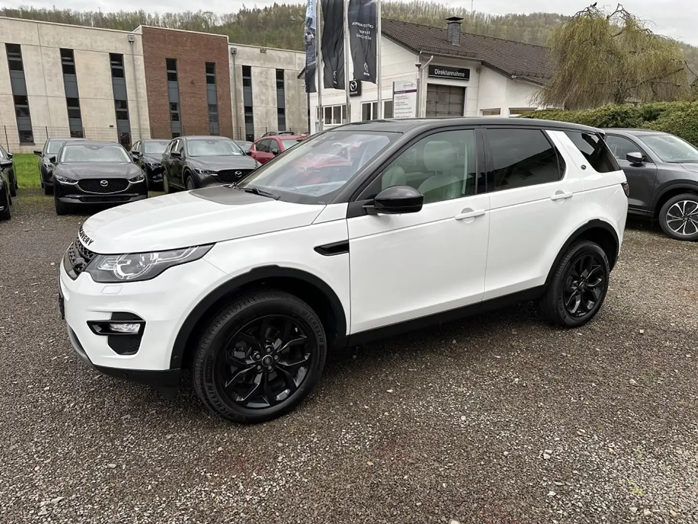 Land Rover Discovery Sport HSE Black Blanco - 2