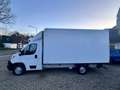Peugeot Boxer Koffer 435 L4 Cargo Ladebordwand Weiß - thumbnail 16