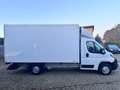 Peugeot Boxer Koffer 435 L4 Cargo Ladebordwand Weiß - thumbnail 7