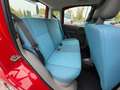 Fiat Panda 1.2 BENZINA SI A NEOPATENTATI KM 50.668 Rosso - thumbnail 13