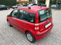 Fiat Panda 1.2 BENZINA SI A NEOPATENTATI KM 50.668 Rosso - thumbnail 4