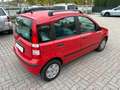 Fiat Panda 1.2 BENZINA SI A NEOPATENTATI KM 50.668 Rosso - thumbnail 6