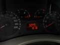Fiat Panda 1.2 BENZINA SI A NEOPATENTATI KM 50.668 Rosso - thumbnail 15