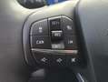 Ford Focus Active X *5Jahre Garantie* *LED* *Sync 4* *ACC* Blau - thumbnail 14