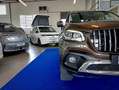 Mercedes-Benz X 250 d 4MATIC 4X4 GANCIO LED 360° PANAMERICA 19" Коричневий - thumbnail 17