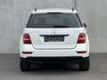 Mercedes-Benz ML 300 CDI BlueEFFICIENCY*PDC*XENON*NAV*GARANTIE Weiß - thumbnail 24