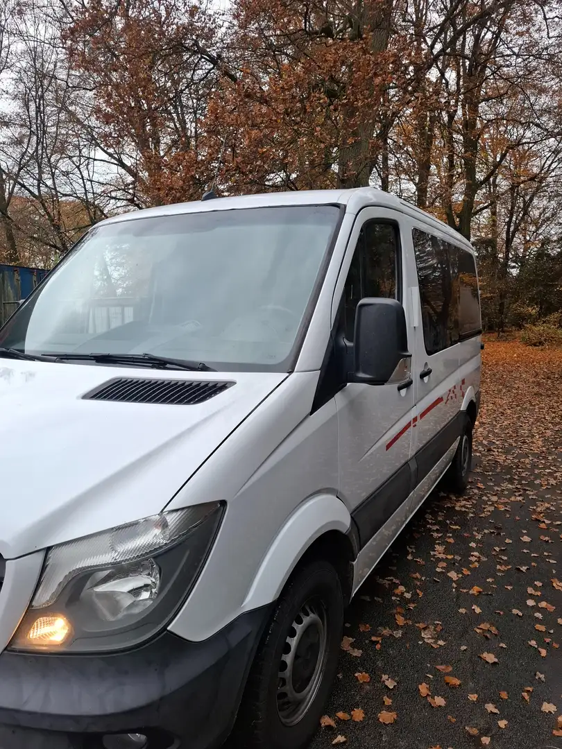 Mercedes-Benz Sprinter 316 Weiß - 2