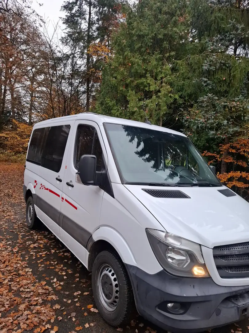 Mercedes-Benz Sprinter 316 Білий - 2