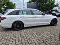 Mercedes-Benz C 220 T-Modell C 220 T d 4Matic Sport Weiß - thumbnail 4