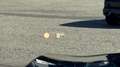BMW X5 xDrive45e M-Sportpaket Schwarz - thumbnail 39