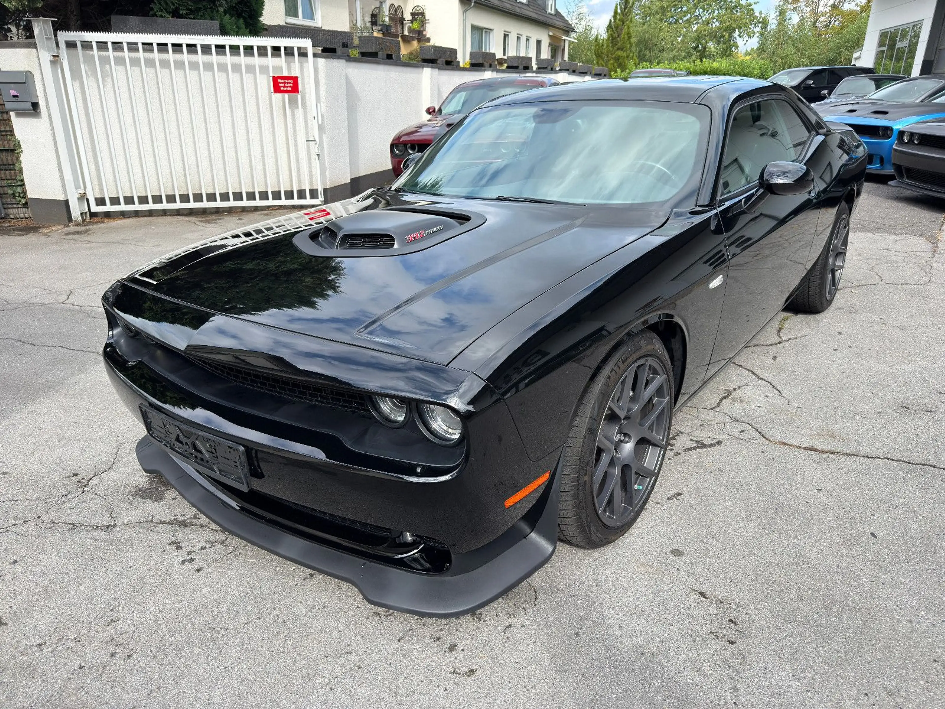 Dodge Challenger 6.4 392 *SCAT*BREMBO*SCAT*SHAKER* — photo 9