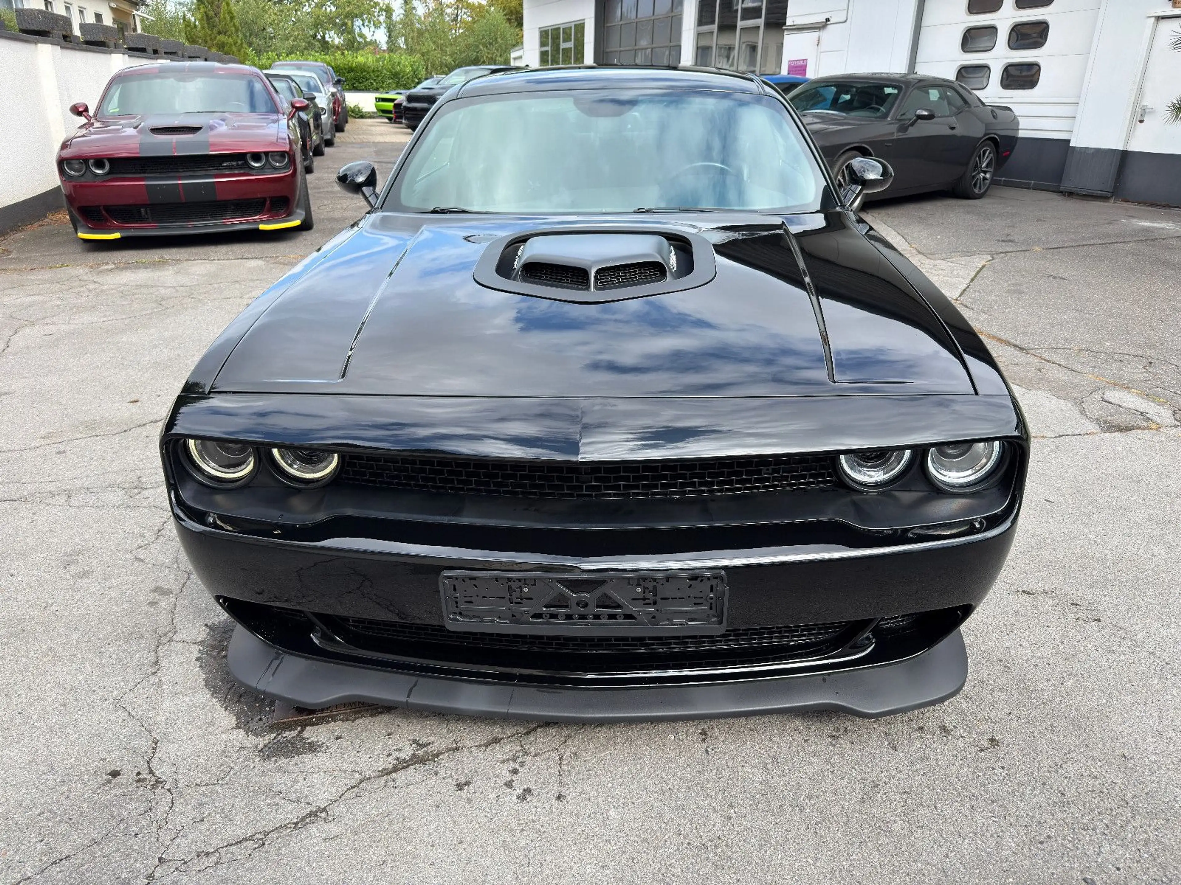 Dodge Challenger 6.4 392 *SCAT*BREMBO*SCAT*SHAKER* — photo 2