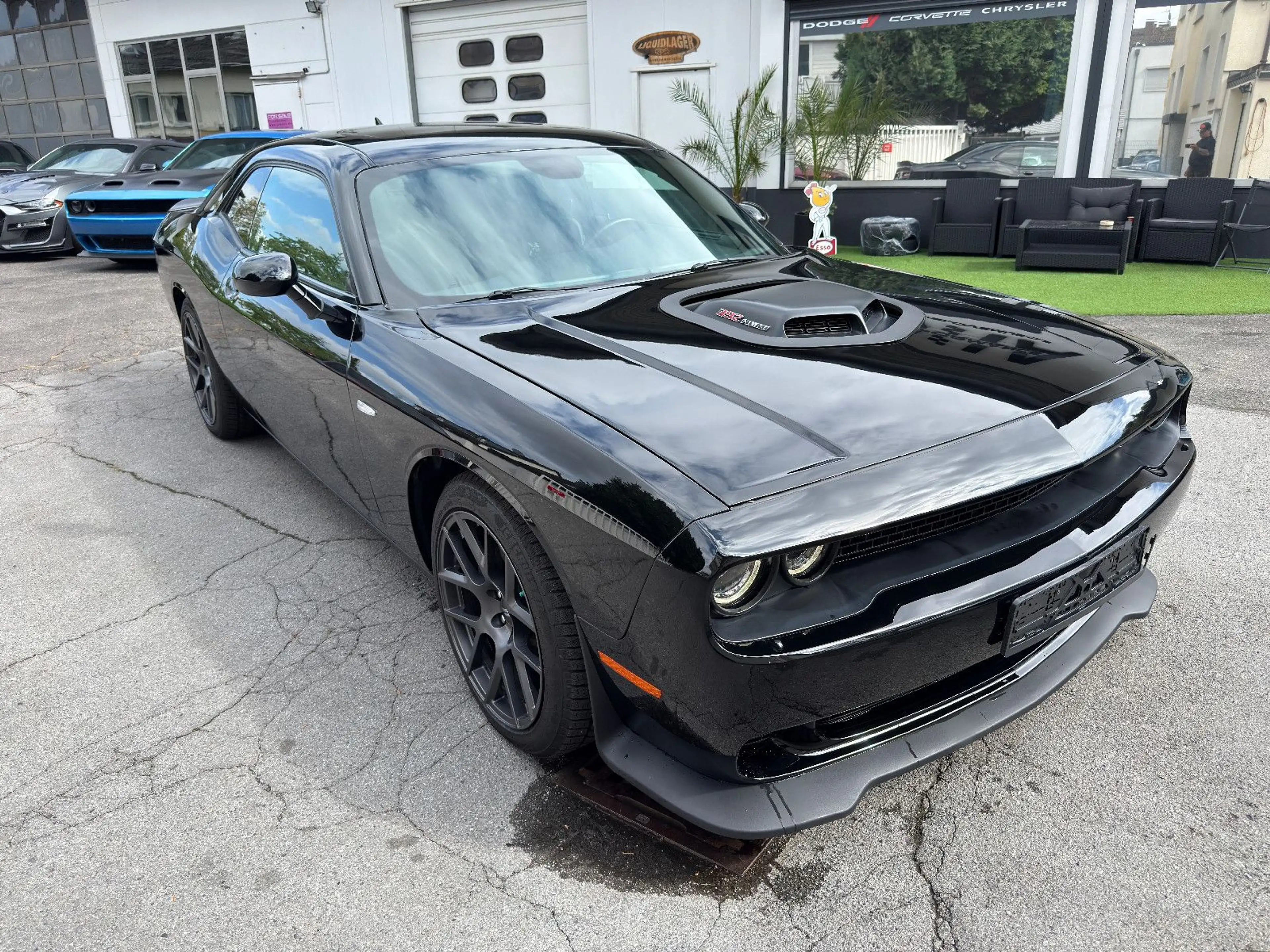 Dodge Challenger 6.4 392 *SCAT*BREMBO*SCAT*SHAKER* — photo 3