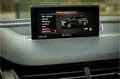 Audi Q7 3.0 TDI e-tron Quattro Panorama Luchtvering 50% We Grijs - thumbnail 22