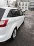Ford Grand C-Max 1.5 EcoBoost Start-Stopp-System Aut. COOL&CONNECT Bianco - thumbnail 3
