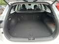 Kia Ceed / cee'd SW 1.6 PHEV SPIRIT SITZ-Paket Weiß - thumbnail 10