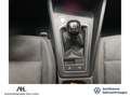 Volkswagen Golf VIII 1.5 TSI Life Panorama LED AppConnect PDC Weiß - thumbnail 19