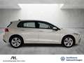 Volkswagen Golf VIII 1.5 TSI Life Panorama LED AppConnect PDC Weiß - thumbnail 7