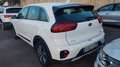 Kia Niro 1.6 GDi HEV 104kW (141CV) Concept Blanco - thumbnail 2