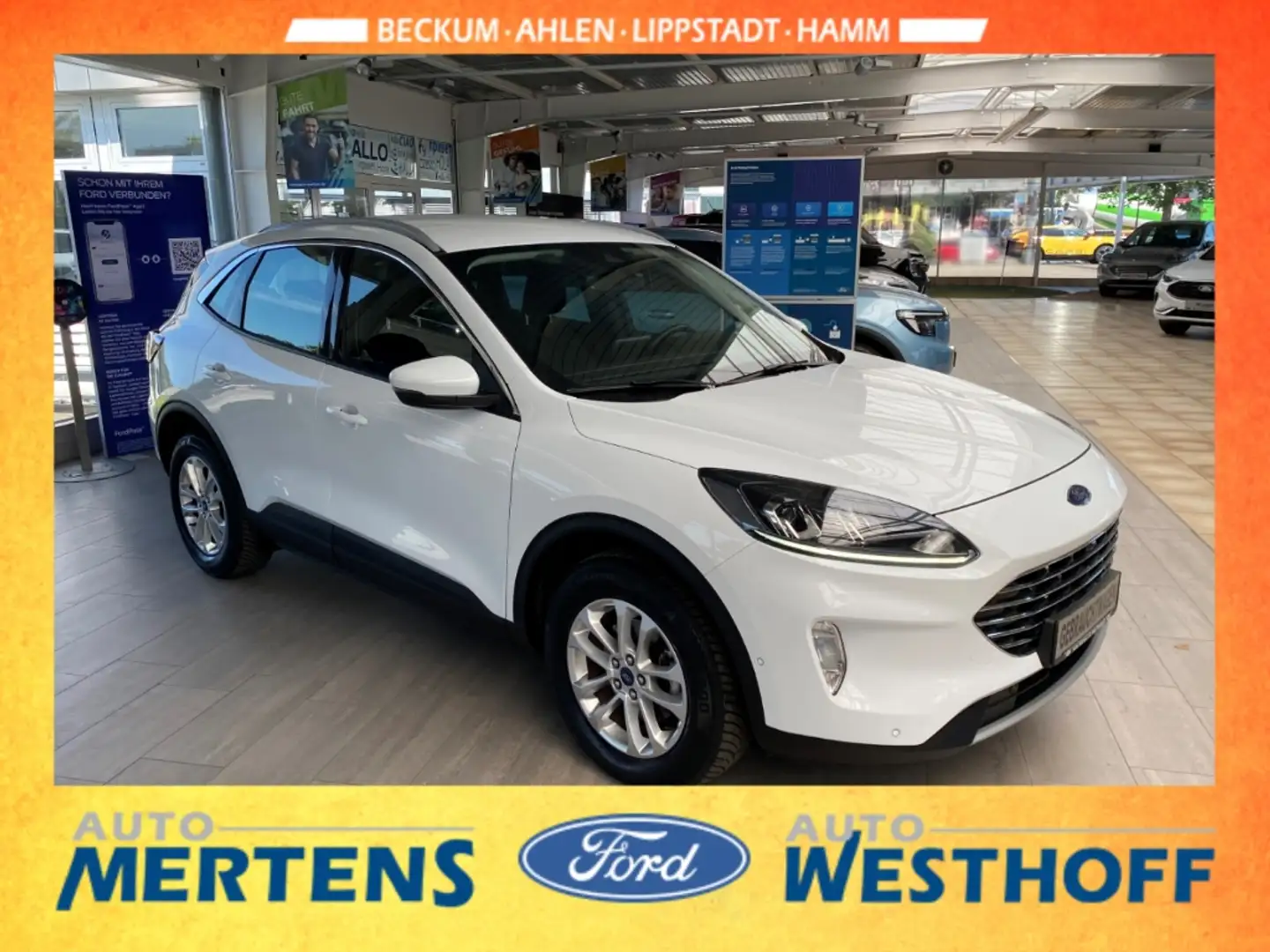 Ford Kuga Titanium 2.5 PHEV Navi + Kamera + ACC Blanc - 2
