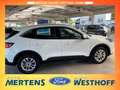 Ford Kuga Titanium 2.5 PHEV Navi + Kamera + ACC Blanc - thumbnail 4