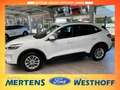 Ford Kuga Titanium 2.5 PHEV Navi + Kamera + ACC Blanc - thumbnail 3