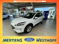 Ford Kuga Titanium 2.5 PHEV Navi + Kamera + ACC Blanc - thumbnail 1