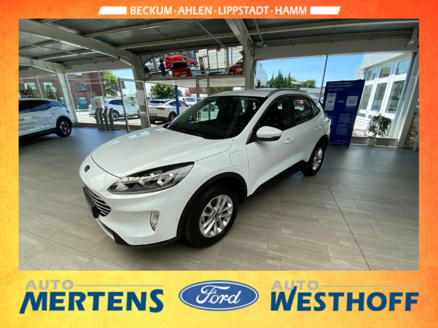 Ford Kuga Titanium 2.5 PHEV Navi + Kamera + ACC Blanc - 1