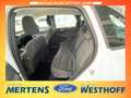 Ford Kuga Titanium 2.5 PHEV Navi + Kamera + ACC Blanc - thumbnail 9