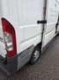 Peugeot Boxer Boxer L3H2 2,2 HDi 130 Weiß - thumbnail 12