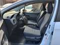 Toyota Yaris Yaris 1.5 Hybrid 5 porte Active Bianco - thumbnail 9