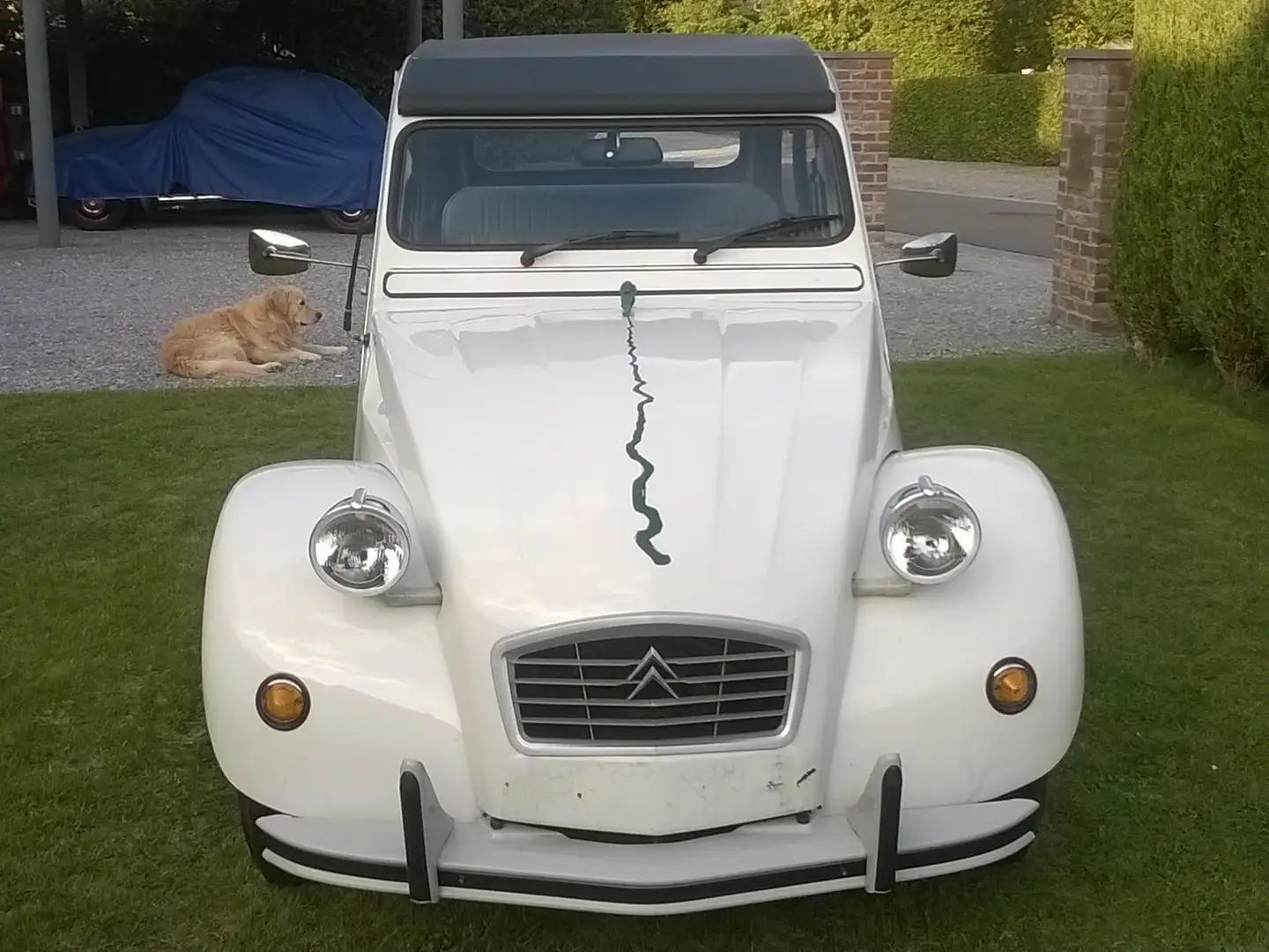Citroen 2CV Perrier Blanc - 2