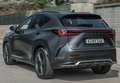 Lexus NX 300h 350h Business City 2WD Gris - thumbnail 24