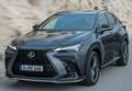 Lexus NX 300h 350h Business City 2WD Gris - thumbnail 16