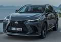 Lexus NX 300h 350h Business City 2WD Gris - thumbnail 9