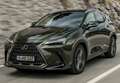 Lexus NX 300h 350h Business City 2WD Gris - thumbnail 13
