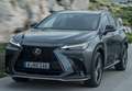 Lexus NX 300h 350h Business City 2WD Gris - thumbnail 7