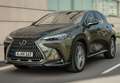 Lexus NX 300h 350h Business City 2WD Gris - thumbnail 4