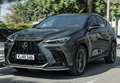 Lexus NX 300h 350h Business City 2WD Gris - thumbnail 12