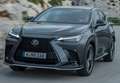 Lexus NX 300h 350h Business City 2WD Gris - thumbnail 19