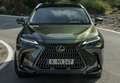 Lexus NX 300h 350h Business City 2WD Gris - thumbnail 11