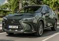 Lexus NX 300h 350h Business City 2WD Gris - thumbnail 10