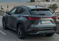 Lexus NX 300h 350h Business City 2WD Gris - thumbnail 49