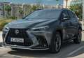Lexus NX 300h 350h Business City 2WD Gris - thumbnail 3